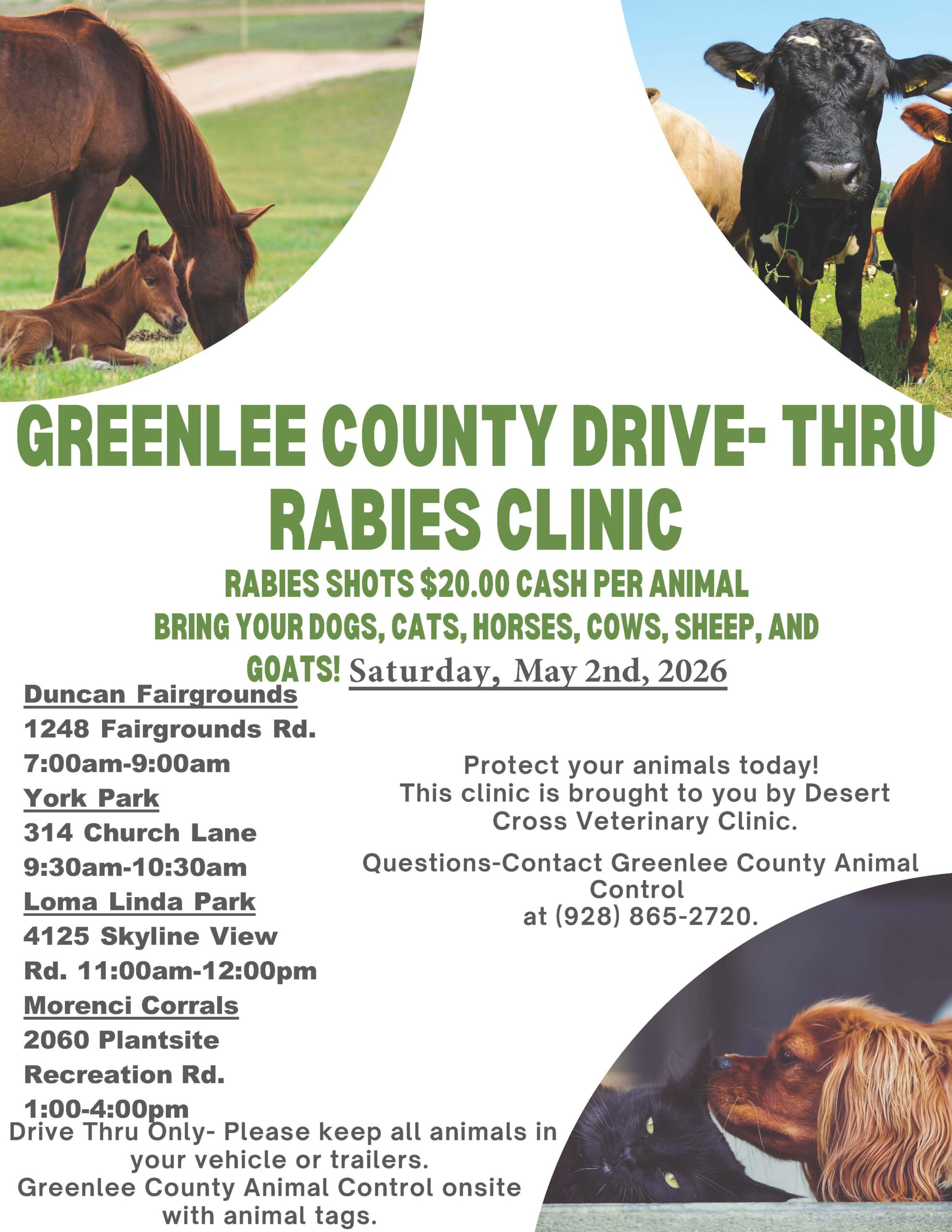 Drive-Thru Rabies Clinic